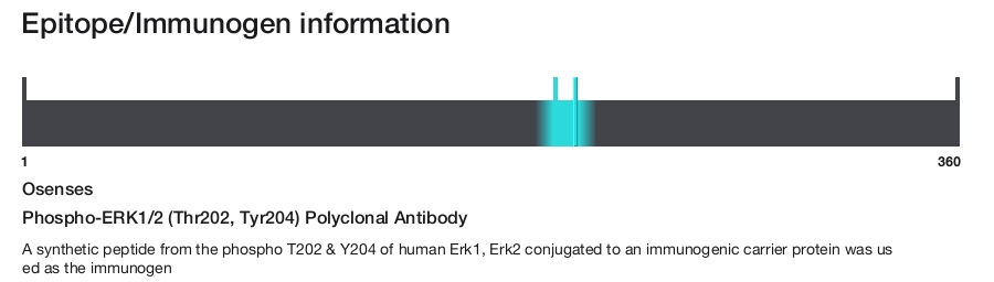Phospho-ERK1/2 (Thr202, Tyr204) Polyclonal Antibody