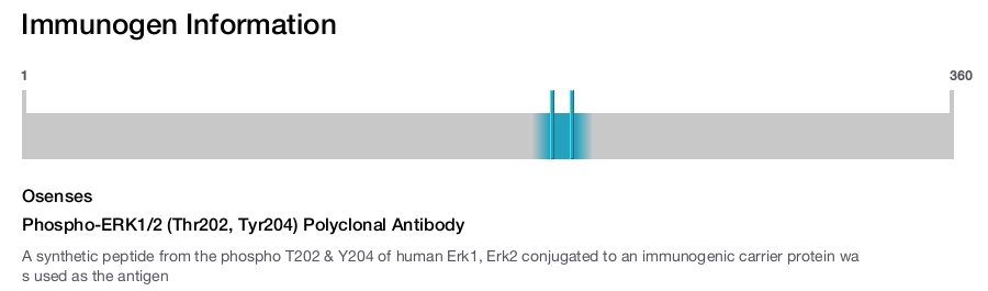 Phospho-ERK1/2 (Thr202, Tyr204) Polyclonal Antibody