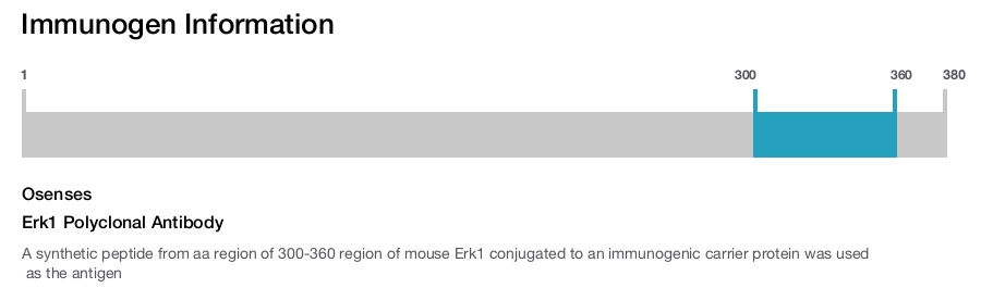 Erk1 Polyclonal Antibody