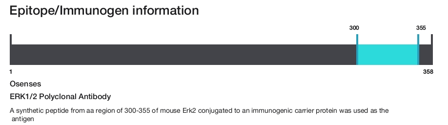 ERK1/2 Polyclonal Antibody