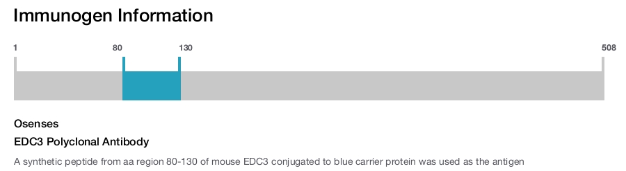 EDC3 Polyclonal Antibody