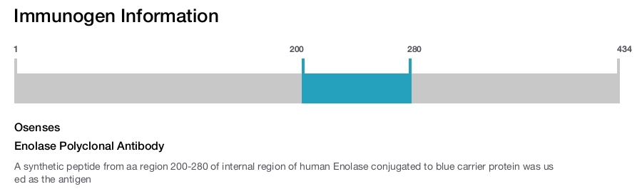 Enolase Polyclonal Antibody