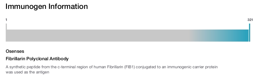Fibrillarin Polyclonal Antibody