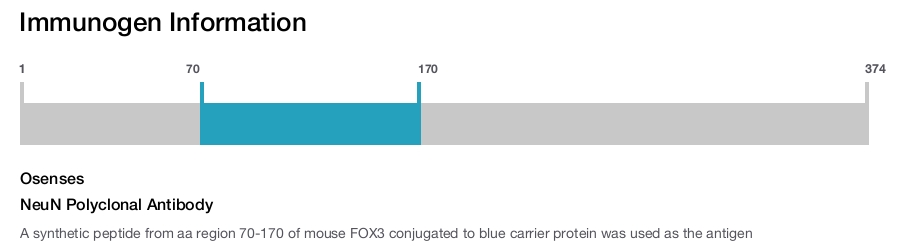 NeuN Polyclonal Antibody