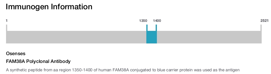 FAM38A Polyclonal Antibody
