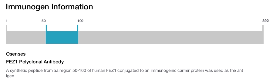 FEZ1 Polyclonal Antibody