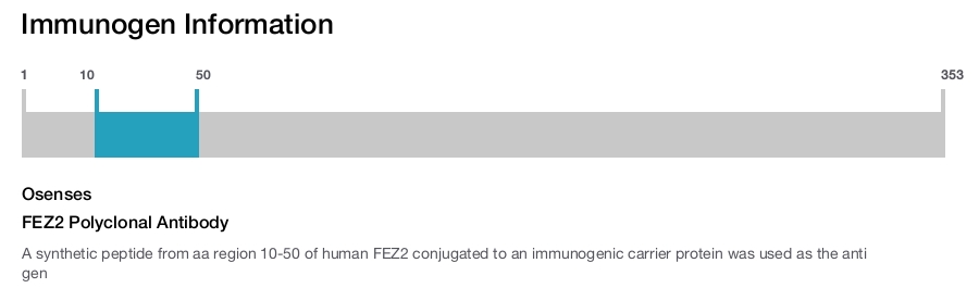 FEZ2 Polyclonal Antibody