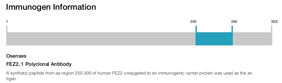 FEZ2, 1 Polyclonal Antibody