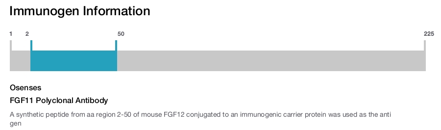 FGF11 Polyclonal Antibody