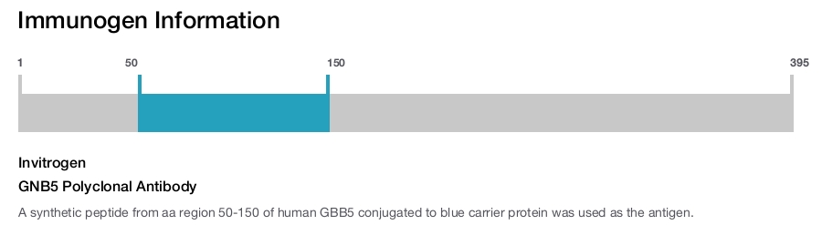 GNB5 Polyclonal Antibody