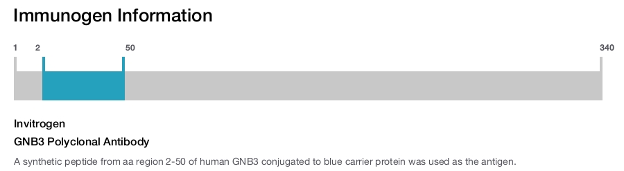 GNB3 Polyclonal Antibody
