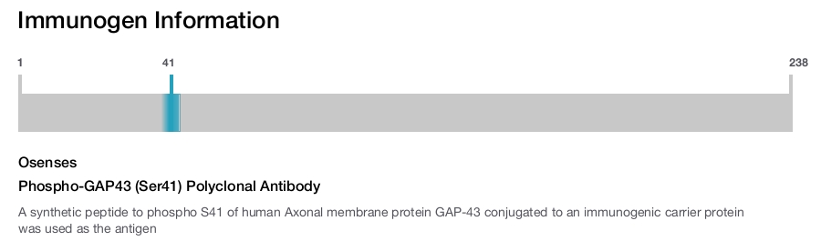 Phospho-GAP43 (Ser41) Polyclonal Antibody