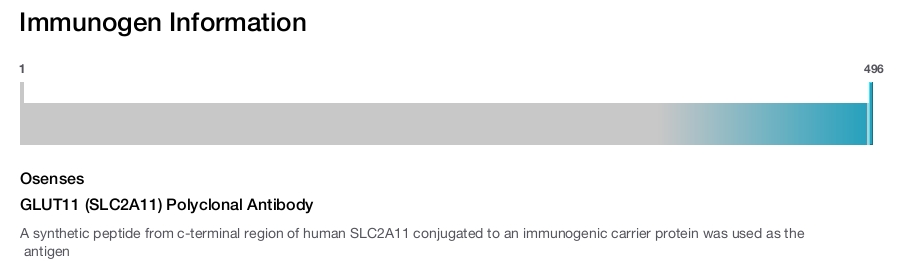 GLUT11 (SLC2A11) Polyclonal Antibody