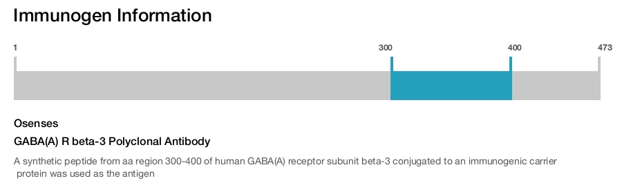 GABA(A) R beta-3 Polyclonal Antibody