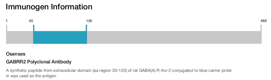 GABRR2 Polyclonal Antibody