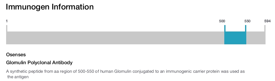Glomulin Polyclonal Antibody