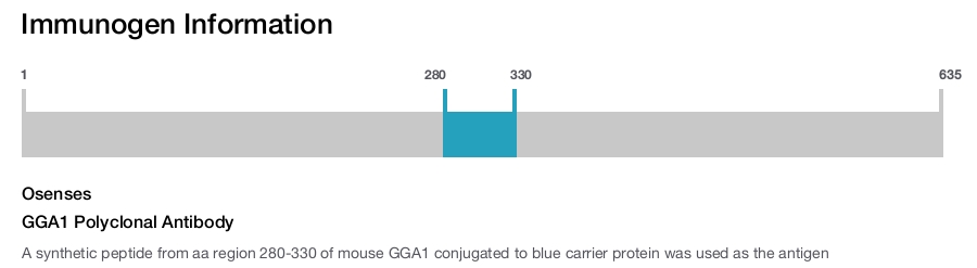 GGA1 Polyclonal Antibody