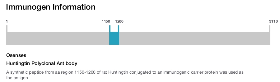 Huntingtin Polyclonal Antibody