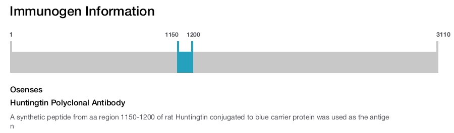 Huntingtin Polyclonal Antibody