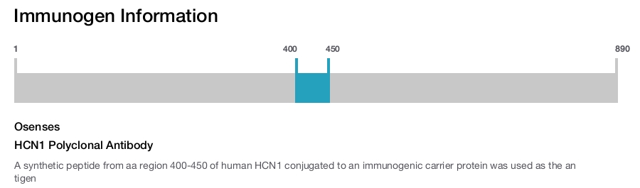 HCN1 Polyclonal Antibody
