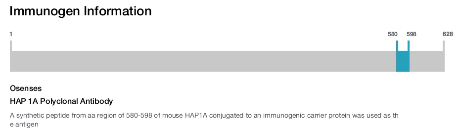 HAP 1A Polyclonal Antibody