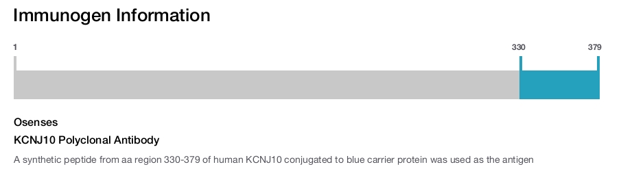 KCNJ10 Polyclonal Antibody