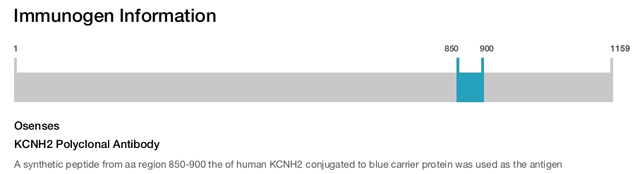 KCNH2 Polyclonal Antibody