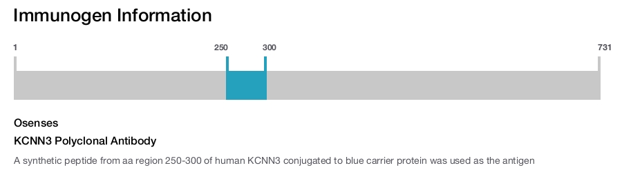 KCNN3 Polyclonal Antibody