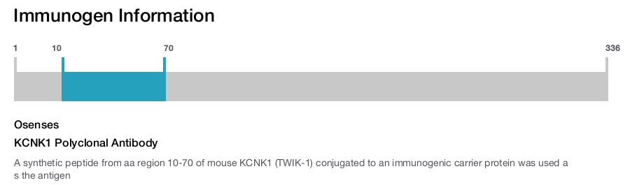 KCNK1 Polyclonal Antibody
