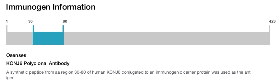 KCNJ6 Polyclonal Antibody