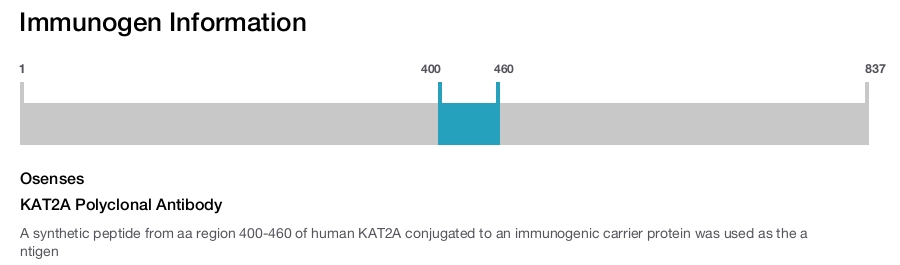 KAT2A Polyclonal Antibody