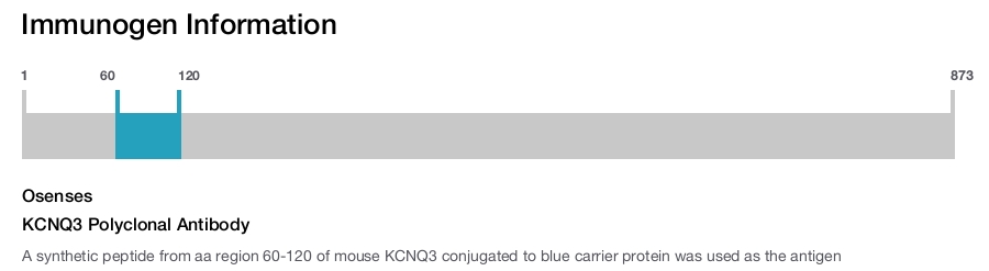 KCNQ3 Polyclonal Antibody