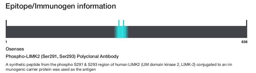Phospho-LIMK2 (Ser291, Ser293) Polyclonal Antibody