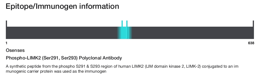 Phospho-LIMK2 (Ser291, Ser293) Polyclonal Antibody