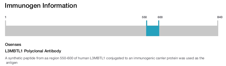 L3MBTL1 Polyclonal Antibody