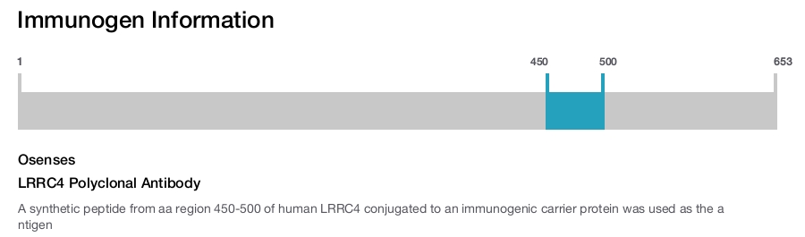 LRRC4 Polyclonal Antibody
