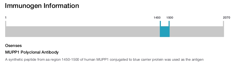 MUPP1 Polyclonal Antibody