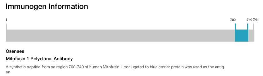 Mitofusin 1 Polyclonal Antibody