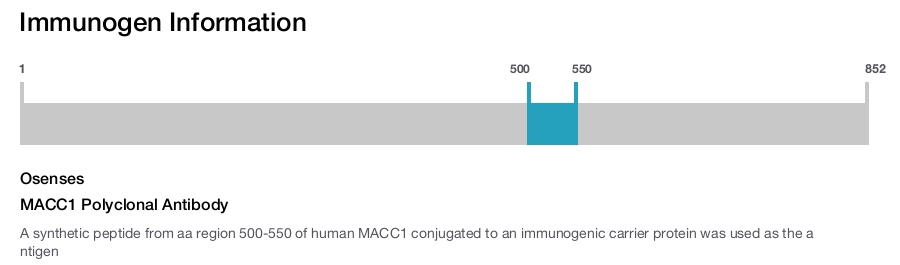 MACC1 Polyclonal Antibody