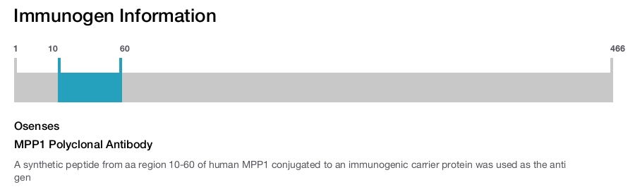 MPP1 Polyclonal Antibody
