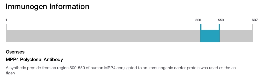 MPP4 Polyclonal Antibody