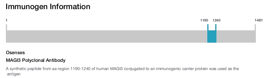 MAGI3 Polyclonal Antibody