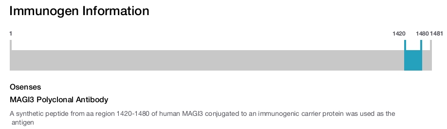 MAGI3 Polyclonal Antibody