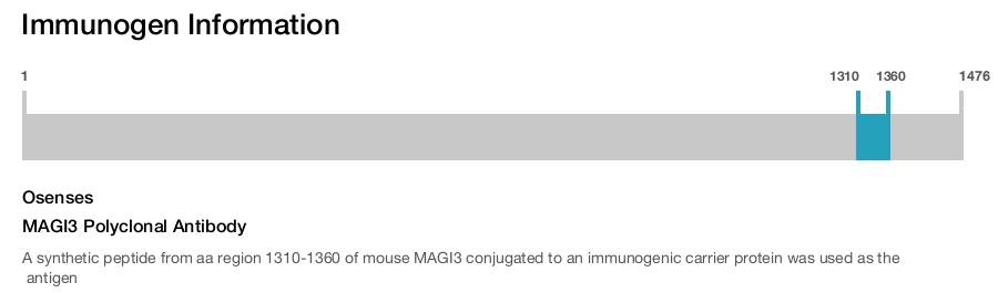 MAGI3 Polyclonal Antibody