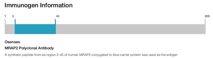 MRAP2 Polyclonal Antibody