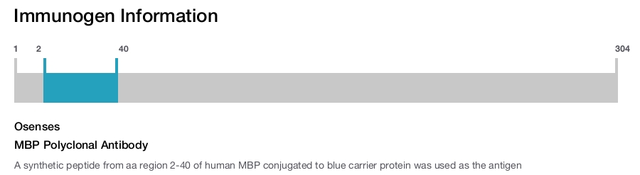 MBP Polyclonal Antibody