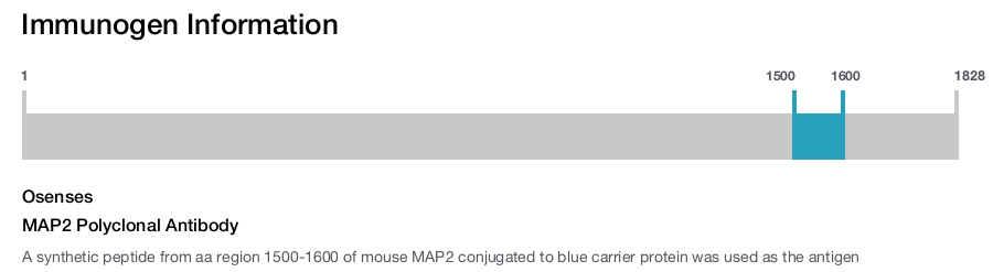 MAP2 Polyclonal Antibody