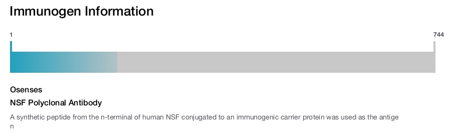 NSF Polyclonal Antibody