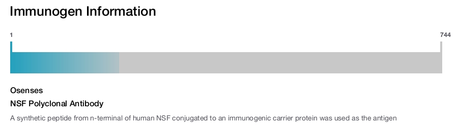 NSF Polyclonal Antibody