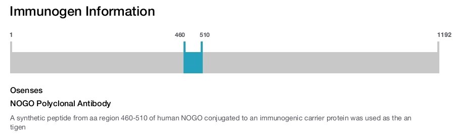 NOGO Polyclonal Antibody